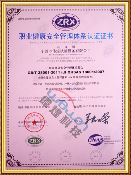 職業(yè)健康安全管理體系認證證書2007（英文版）